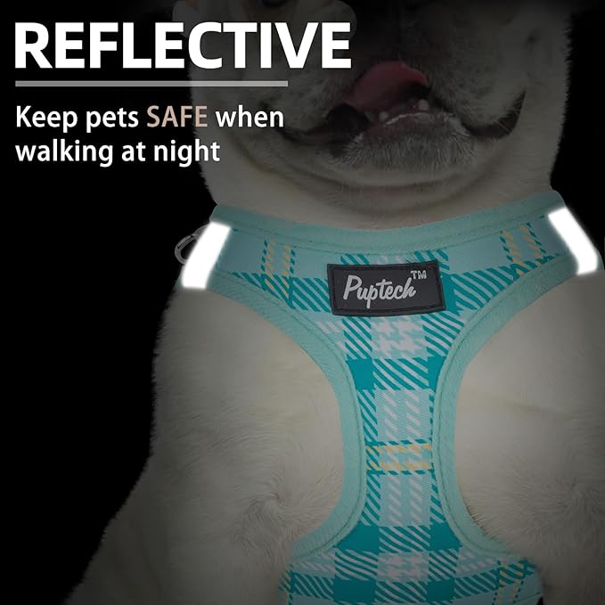 PUPTECK Dog Harness and Leash Set for Small Medium Dogs No Pull Step-in Soft Mesh Puppy Cat Vest Harnesses Reflective at Night, Plaid Pattern Green L