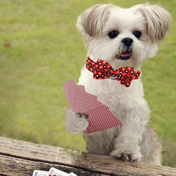 Dog Collar, Adjustable Bow Collar for Girl or Boy Dogs - Small to Large Sizes