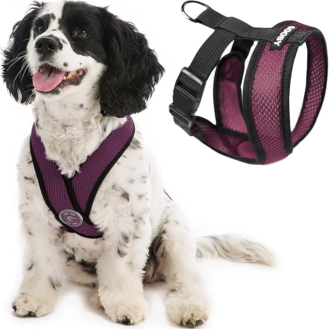 Gooby Comfort X Head In Harness - Purple, Small - Patented Choke-Free X Frame - Perfect On-The-Go Dog Harness for Medium & Small Dogs, Indoor & Outdoor Use