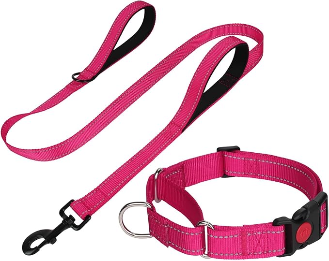 FunTags Reflective Martingale Collar for Dogs, Quick Release Buckle, 5FT Double Handle Dog Leash Padded, Dog Collar and Leash Set, Adjustable for Small Dogs (Hotpink, S)