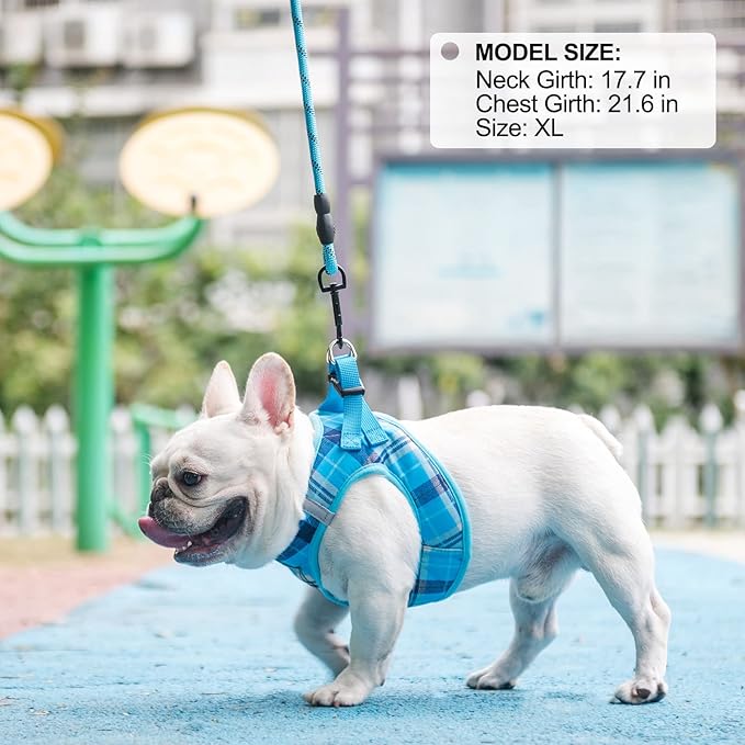 BEAUTYZOO Small Dog Harness and Leash Set,Step in No Choke No Pull Soft Mesh Dog Harnesses Reflective for Extra-Small/Small Medium Puppy Dogs and Cats, Plaid Dog Vest Harness for XS S Pets, Blue M