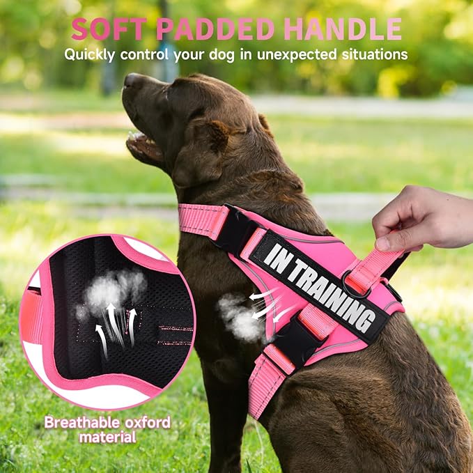 Dog Vest Harness and Leash Set, Animire Reflective Service Dog Vest with 10 Patches, 3 Rings No Choke Pet Vest for Leash Placement, in Training Dog Harness for Small Medium Large Dogs(Hot Pink,XL)