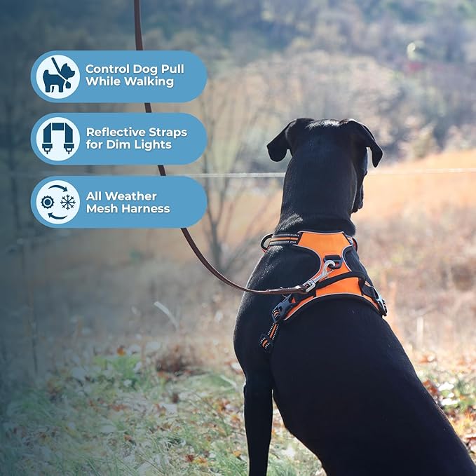 Dog Harness Dual Leash Attachment No-Pull Control Adjustable Soft but Strong Pet Harness for Medium and Large Dogs with 3M Reflective Technology - Harness Leash Set (Orange), S