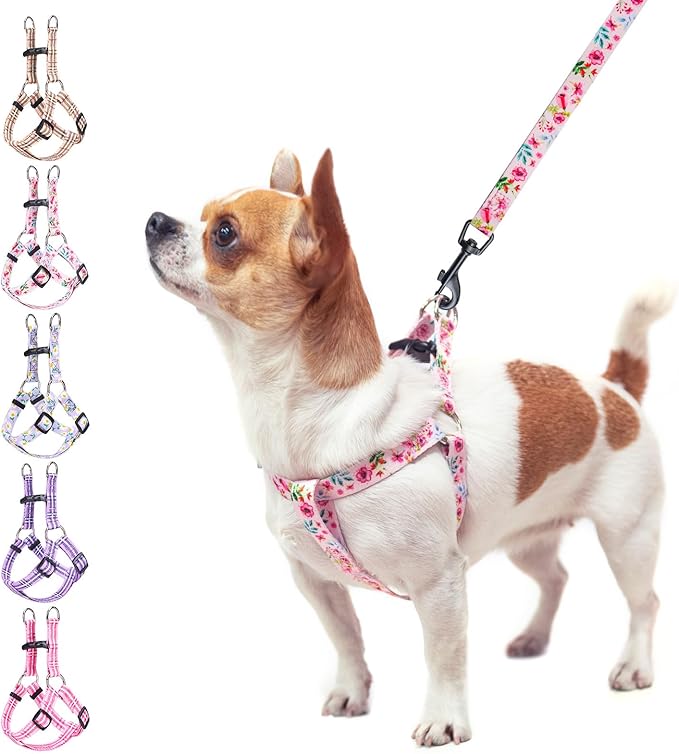 BEAUTYZOO No Pull Dog Harness and Leash Set - Adjustable Step-in Puppy Harness for Small Medium Large Dogs, Escape Proof Soft Nylon Vest with Double D Ring for Walking Running Training, Pink S