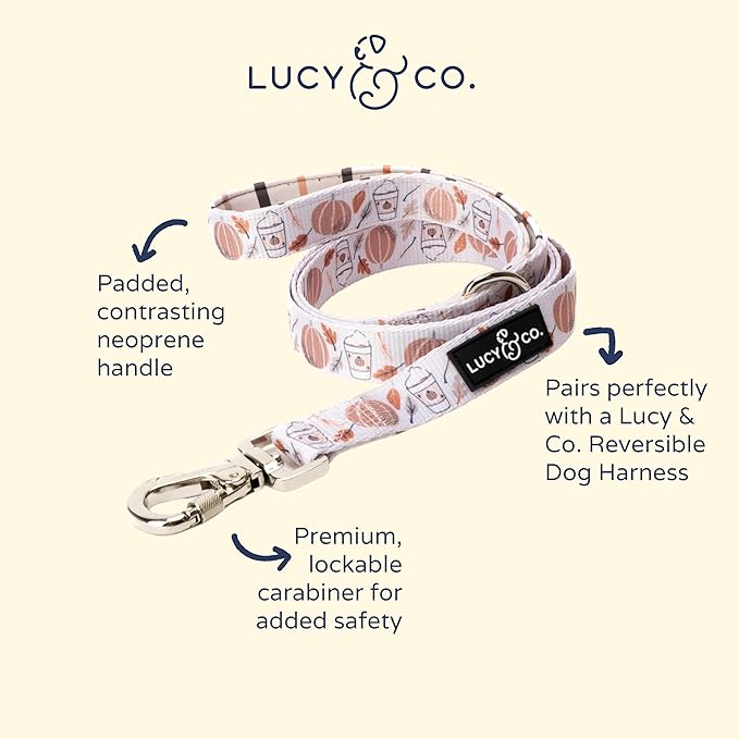 Lucy & Co. 5 Foot Designer Dog Leash - Awesomely Autumn, Perfect for Big, Small, or Medium Dogs - Puppy Leash - Dog Accessories - Small