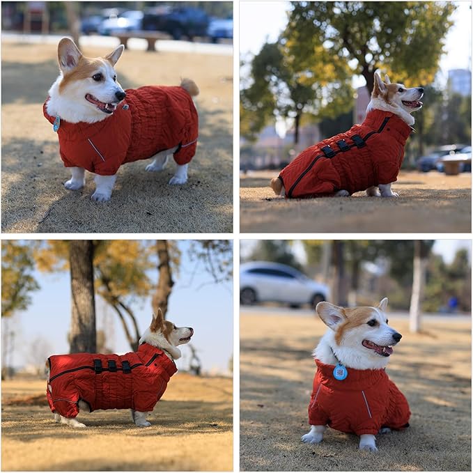 Lovelonglong Warm Dog Coat Double Layers Dog Vest, 4 Legs Covered Windproof Waterproof Reflective Warm Dog Vest Outdoor Skating Dog Costume for Corgis Dachshund Dog Orange D-S