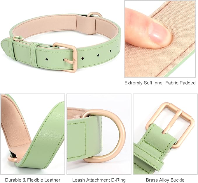 AirTag Leather Dog Collar WHIPPY Padded Apple Air Tag Dog Collar Adjustable Puppy Dog Collar with AirTag Holder Case for Small Medium Large Dog Pet,Green,XS