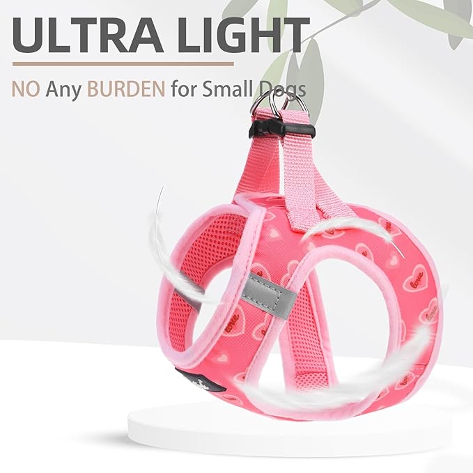 PUPTECK Dog Harness and Leash Set for Small Medium Dogs No Pull Step-in Soft Mesh Puppy Cat Vest Harnesses Reflective at Night Valentine, Light Pink, S