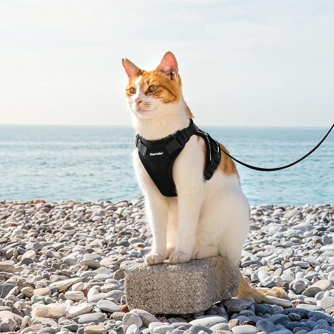 Dooradar Cat Harness and Leash Set, Escape Proof Safe Adjustable Kitten Vest Harnesses for Walking, Easy Control Soft Breathable Mesh Jacket with Reflective Strips for Cats, Black, M