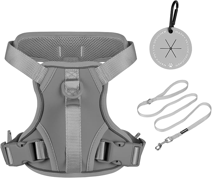 Petmolico Dog Harness for Small Dogs, Cute Harness Vest with Two Leash Clips and Soft Handle, Reflective Easy Walk Puppy Vest - Grey, Medium