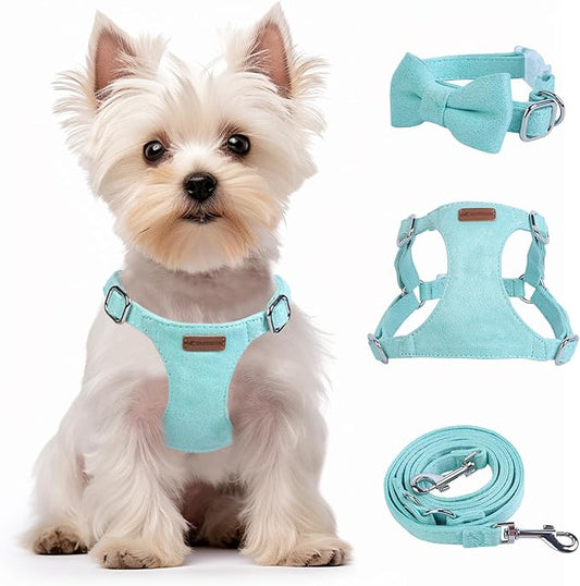 Dog Harness and Leash Set, XXS No Pull Adjustable Puppy Harness with Multifunction Pink Dog Leash and Dog Collar, Soft No Choke Escape Proof Pet Harness Vest for Small Dogs and Cats (Mint Green, M)