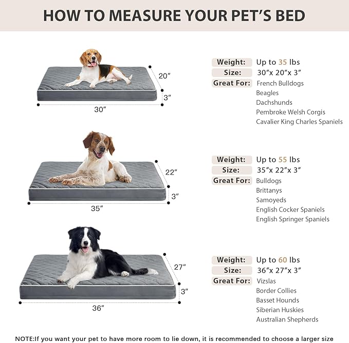 WNPETHOME Orthopedic Dog Beds for Medium Dogs, LargeDog Bed with Removable Washable Cover & Anti-Slip Bottom, Multi-Needle Quilting XL Pet Bed (Grey), L (36x27x3)