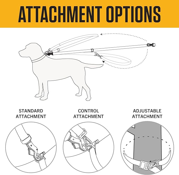 Carhartt Pet Durable Nylon Webbing Leashes for Dogs, Reflective Stitching for Visibility, Light Moss (Nylon Webbing), Large