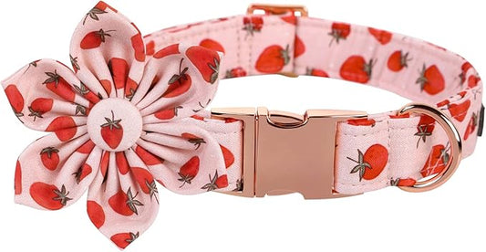 Lionet Paws Dog Collar with Flower - Cute Cotton Adjustable Flower Dog Collar with Metal Buckle for Medium Dog Girl Boy, M, Neck 13.5-22in