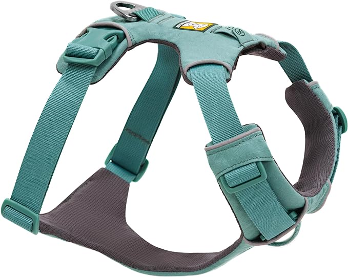 Ruffwear, Front Range Dog Harness, Reflective Soft Padded Everyday Harness with Dual Leash Clips, Adjustable and Lightweight Fit for Training or Walking for All Dogs, River Rock Green, Small