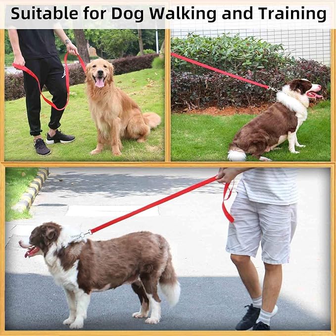 AMAGOOD 6 FT Puppy/Dog Leash, Strong and Durable Traditional Style Leash with Easy to Use Collar Hook, Great for Small, Medium and Large Dogs (3/4 in x 6 ft, Black and Red (2-Pack))