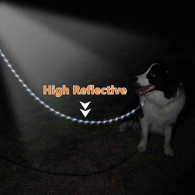 NTR Heavy Duty Dog Leash - 30FT Reflective with Swivel Lockable Hook and Comfortable Padded Handle, Puppy Leash for Walking, Hunting, Camping, Backyard - Blue