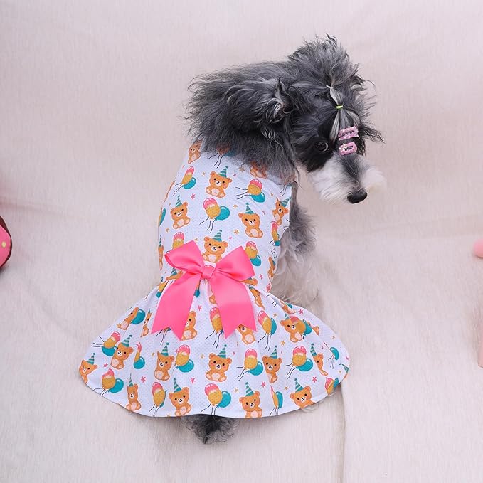 CuteBone Dog Mesh Dress Puppy Sundress Pet Outfit Summer Fashion for Small Dogs Girl Cat Clothes BF40XS