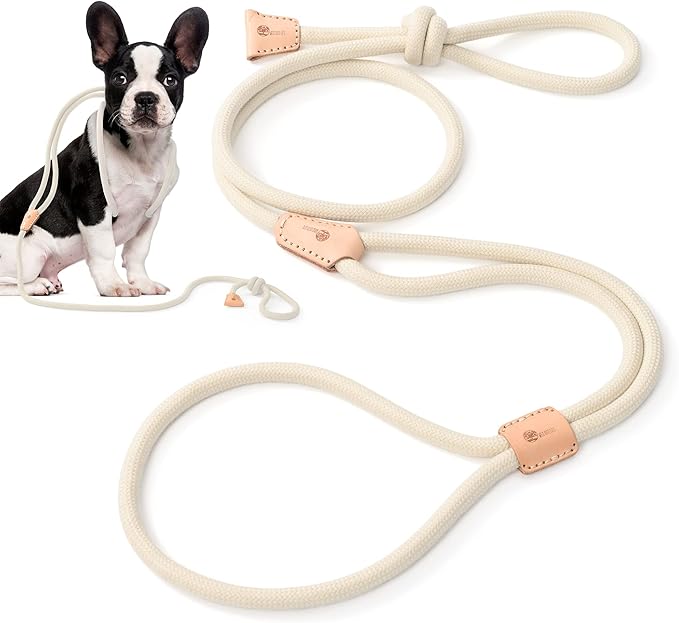 Mile High Life Harness Lead No Pull, All in one Dog Lead 2-in-1, Rope Leash and Harness Two in One, Slip Leash for Puppy Small Dogs Training, 4FT White