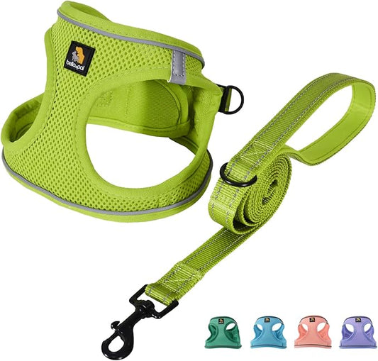 BELLA & PAL Puppy Harness with Leash Set, Step in Harness for Small Dogs, Dog Air Mesh Dog Vest Harness with Reflective Strip, No Pull No-Chock Harness for XXS, XS, Small Dog Cat (Avocado Green,S)