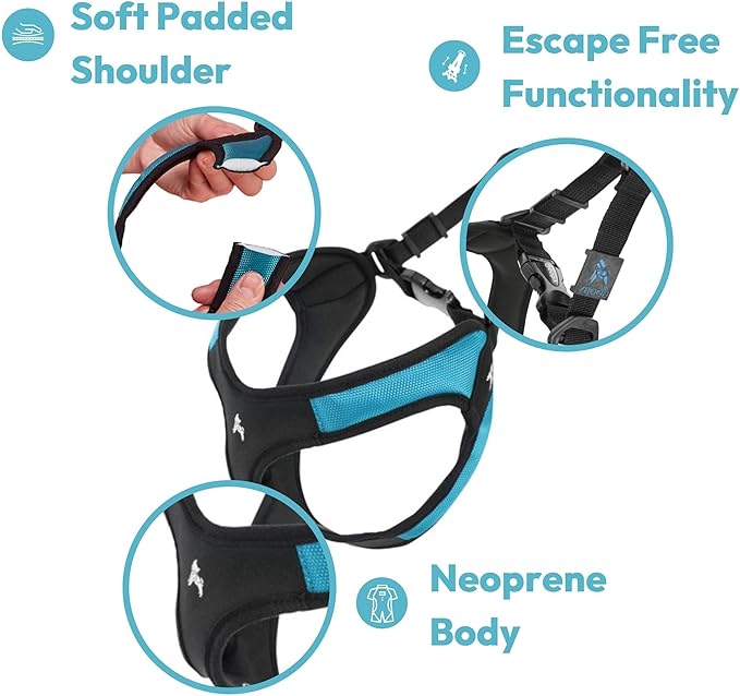 Gooby Escape Free Easy Fit Harness - Purple, Large - No Pull Step-in Patented Small Dog Harness with Quick Release Buckle - Perfect On The Go No Pull Harness for Small Dogs or Medium Dog Harness