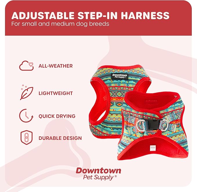 Downtown Pet Supply Step in Dog Harness for Small Dogs No Pull, X-Small, Tribal - Adjustable Harness with Padded Mesh Fabric and Reflective Trim - Buckle Strap Harness for Dogs