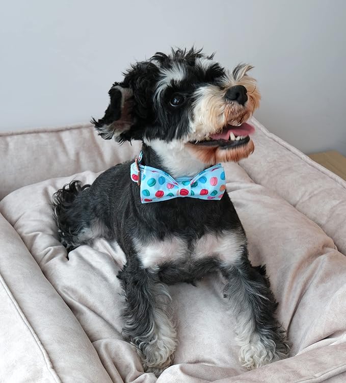 ARING PET Summer Macaroon Bowtie Dog Collar, Adjustable Cotton Bow Pet Collar with Metal Buckle