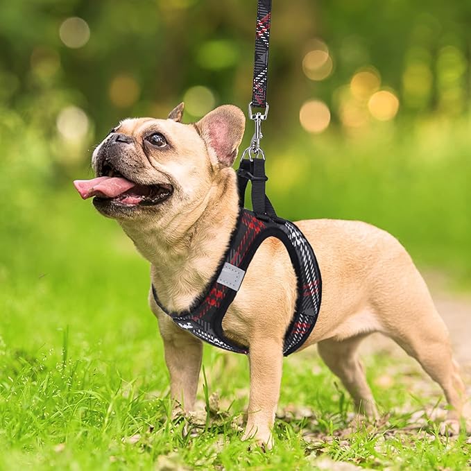 PUPTECK Dog Harness and Leash Set for Small Medium Dogs No Pull Step-in Soft Mesh Puppy Cat Vest Harnesses Reflective at Night, Plaid Pattern Black XS