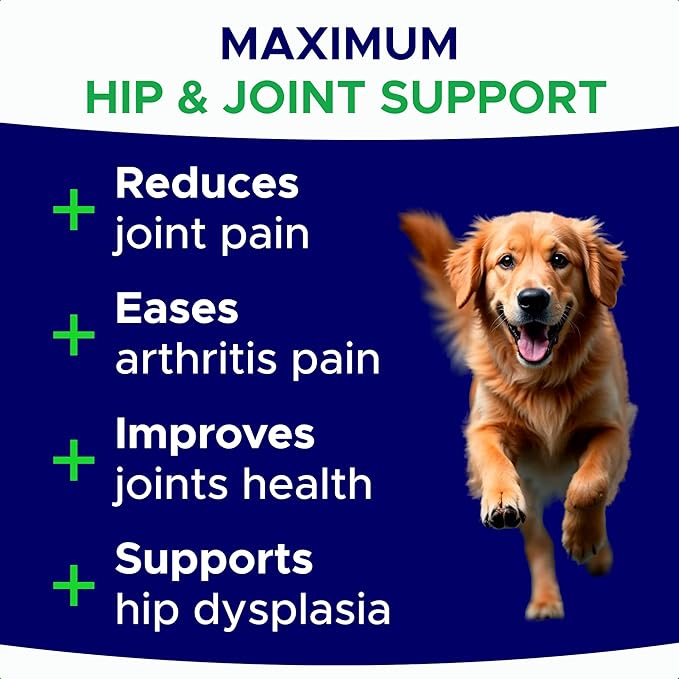 Glucosamine for Dogs Hip & Joint Supplement - Chondroitin, Omega-3, MSM - Joint Health & Pain Relief - Senior & Large Dogs - Made in USA - 180 Mobility Chews