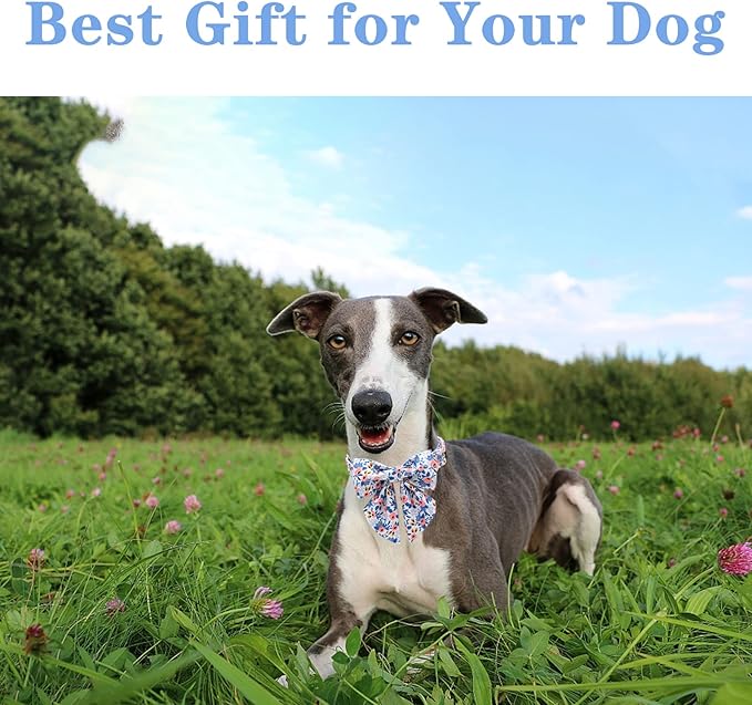 Unique style paws Dog Collar with Tie Adjustable Blue Bowtie Puppy Collars for Small Medium Large Dogs and Cats-XL