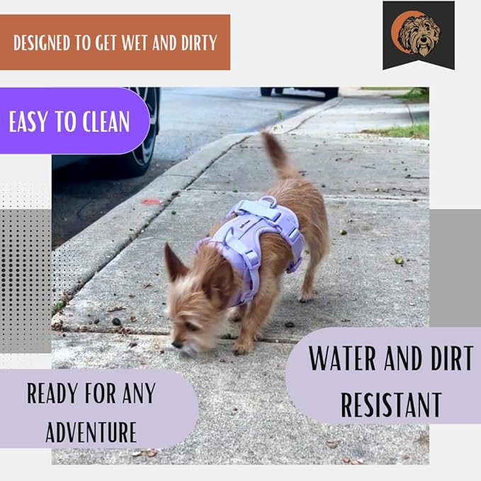 Tito's Closet Large Dog Harness and Leash Set, Soft Neoprene Material, No Pull Dog Harness, Purple, Large