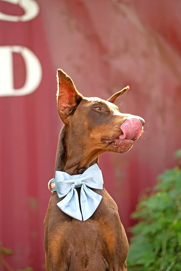 Unique style paws Silk Blue Color Dog Collar Adjustable Durable Dog Collar with Bow Wedding Bowtie Collar for Large Dogs