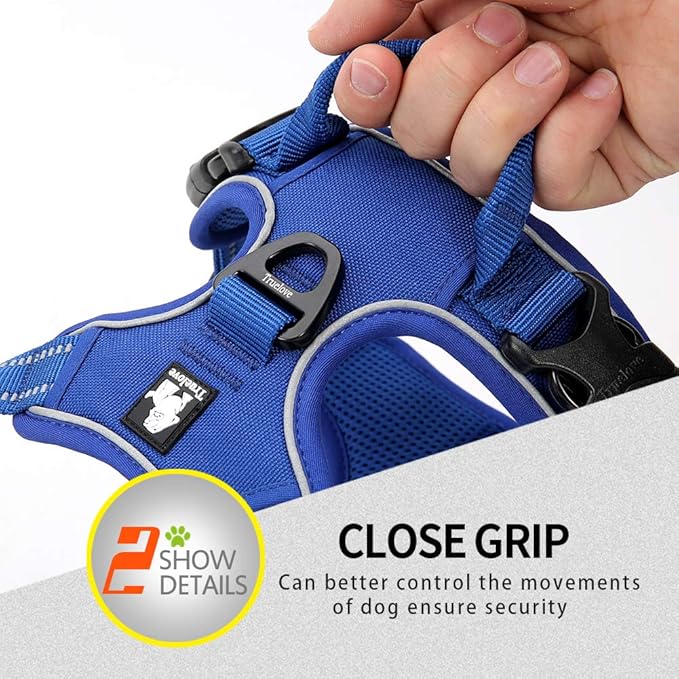 Soft Front Dog Harness .Best Reflective No Pull Harness with Handle and 2 Leash Attachments Royal Blue