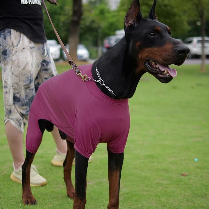 LoveLongLong Dog Jumpsuit with UV Protection and Quick-Dry Fabric for Spring Summer Pet Pajamas Taro Purple L