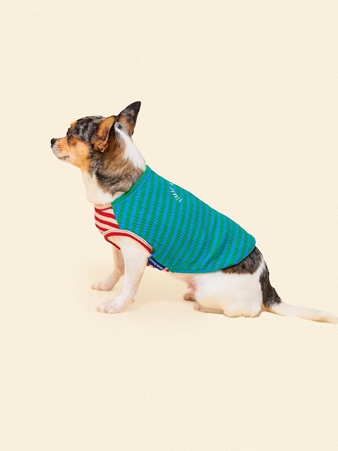 Little Beast Dog Clothes - Pet Clothes for Large, Medium, and Small Dogs (Dog Shirts Come in Multiple Colors and Styles) - Size: Large Dogs, Green/Blue