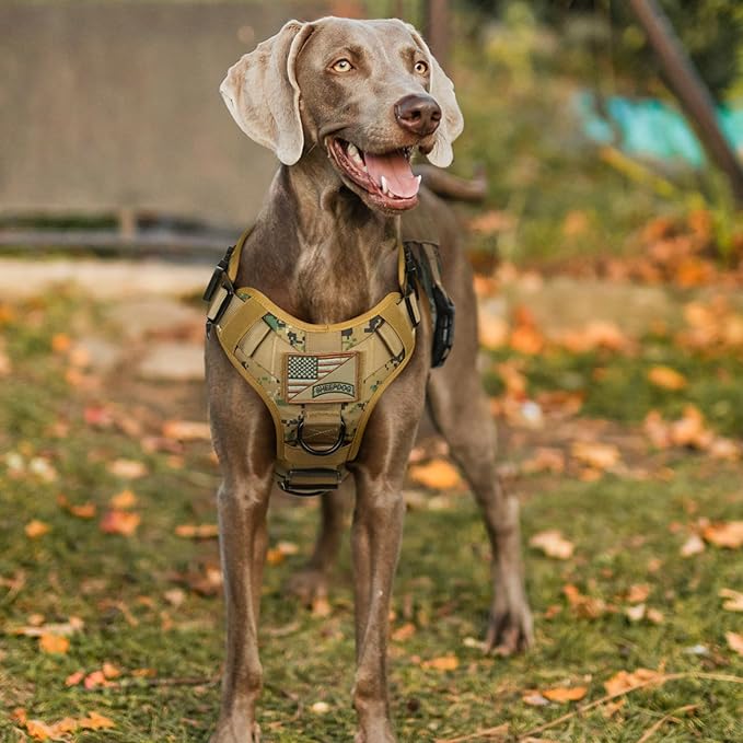 rabbitgoo Tactical Dog Harness Medium Sized, Heavy Duty Pet Harness with Handle, No-Pull Service Vest Medium Breed, Adjustable Military Dog Vest for Training Hunting Walking, Brown Camo, M