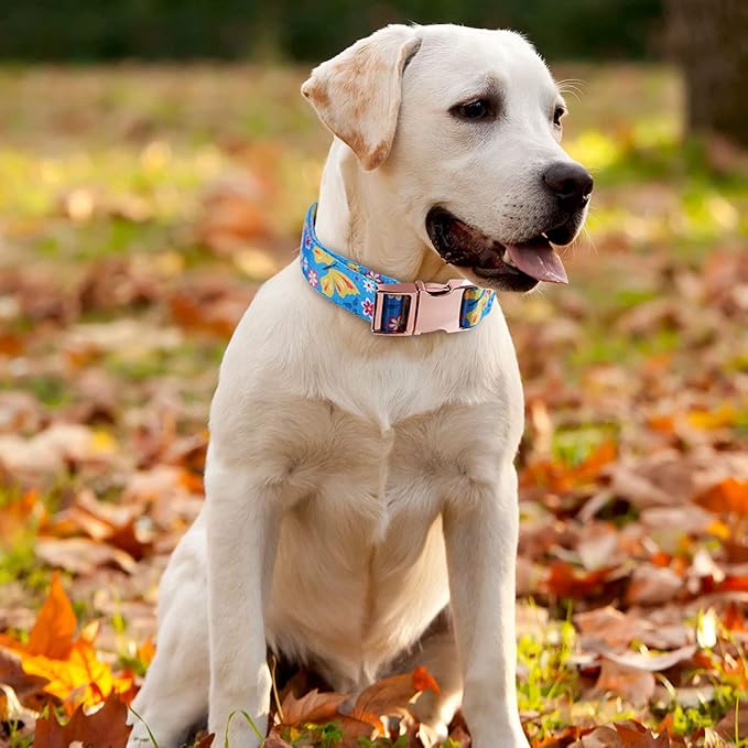 Rhea Rose Ctue Girl Dog Collars Blue Flower and Butterfly Pattern with Metal Buckle for Puppy Small Medium Large Dogs Small