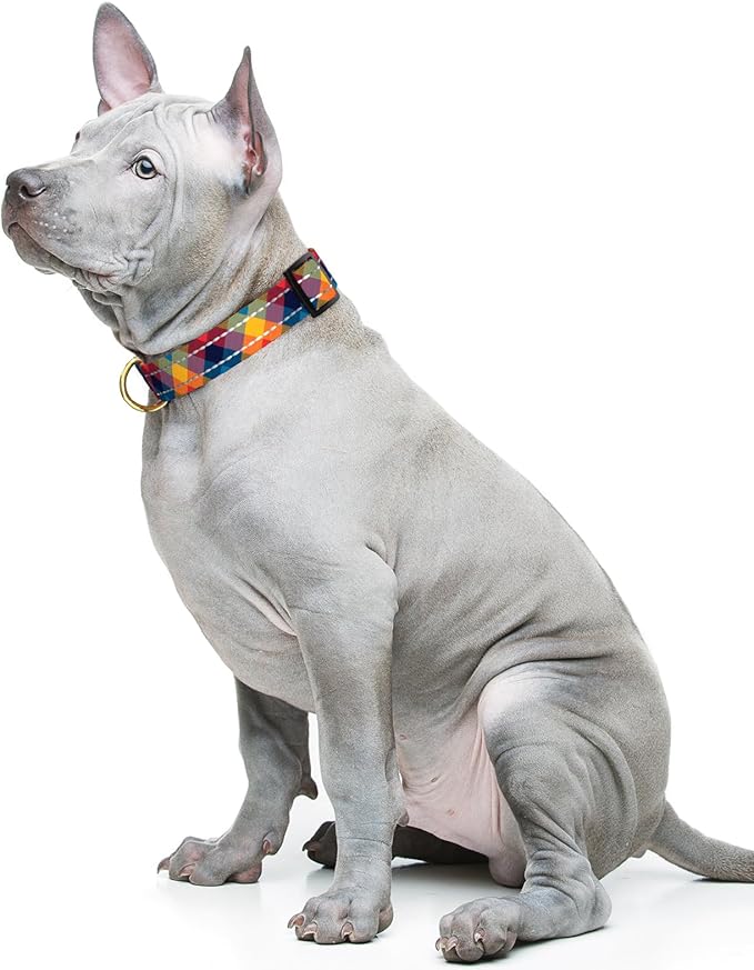 Reflective Dog Collar for Medium Dogs, Cute Boho Adjustable Heavy-Duty Nylon Puppy Collar for Boy and Girl Female, Soft Pet Accessories with Quick Release Buckle, Colorful Tartan