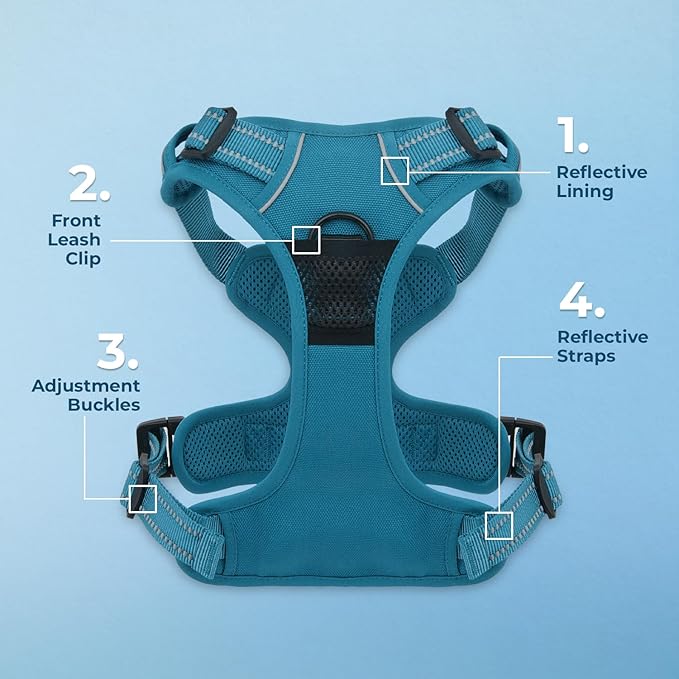 Dog Harness Dual Leash Attachment No-Pull Control Adjustable Soft but Strong Pet Harness for Medium and Large Dogs with 3M Reflective Technology - Harness Leash Set (Turquoise), M