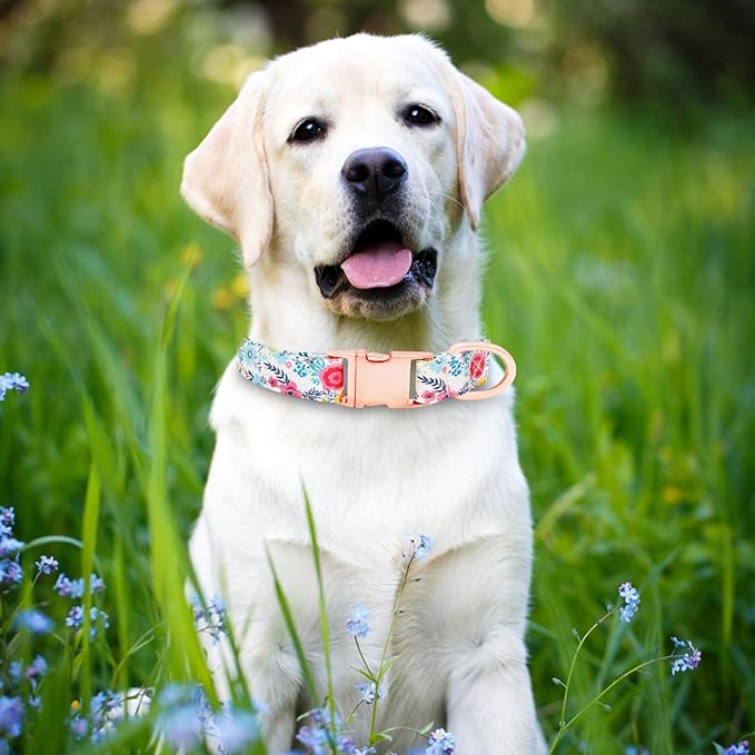 Dog Collar and Leash Set Girls Adjustable Puppy Collars with Floral Bow Tie for Small Medium Large Female Dogs, Teal Flower, M
