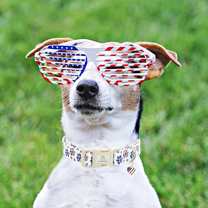 Lionheart glory American Flag Dog Collar-4 of July Patriotic Independence Day Dog Collar Heavy Duty Adjustable Dog Collars for Large Dogs Pet Gift Summer Collars Dog Cute Collars