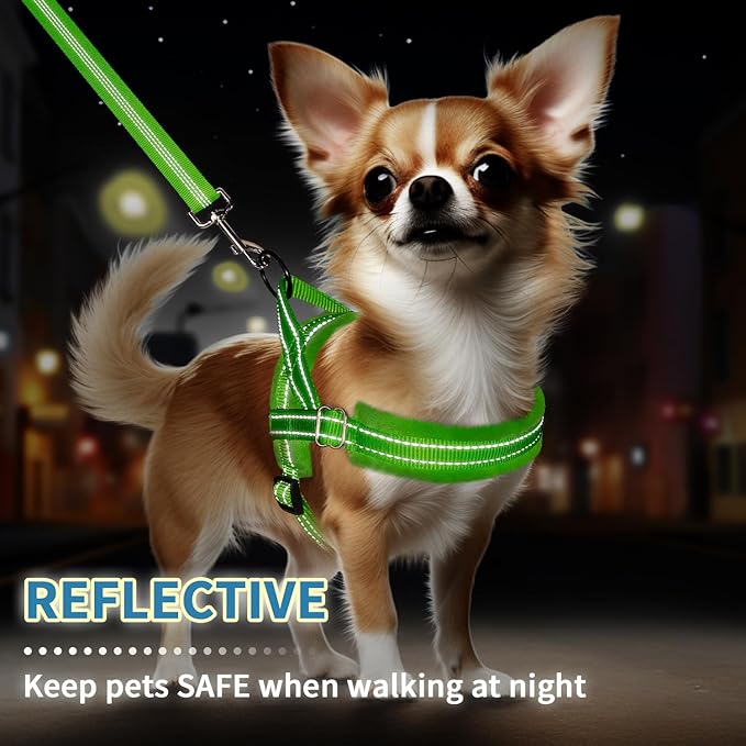 SlowTon No Pull Small Dog Harness and Leash Set, Puppy Soft Vest Harness Neck & Chest Adjustable, Reflective Lightweight & Anti-Twist Pet Lead Combo for Small Medium Dogs(G,S)
