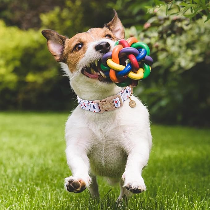 Faleela Dog Collar - Cute & Comfy Cotton Pet Collar, Adjustable Lightweight Design with Quick-Release Buckle, for Small, Medium & Large Dogs - Multiple Styles Available (Skiing, Large)