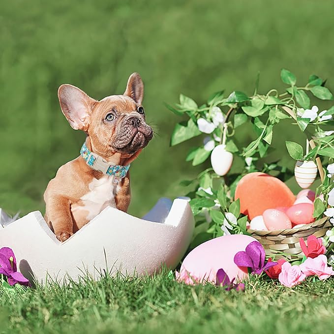 DOGWONG Cute Flower Bunny Eggs Easter Dog Collar - Pink, Adjustable for Small Dogs & Puppies
