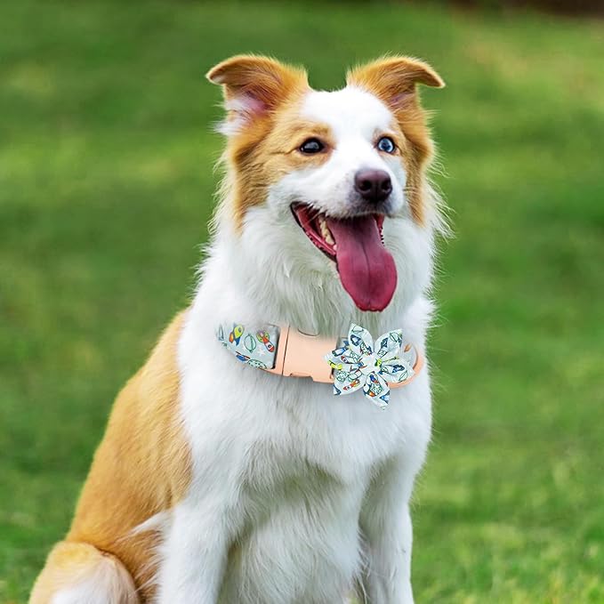 Dog Collar and Leash Set Adjustable Girls Puppy Floral Collars with Bow Tie for Small Medium Large Dogs(L, Rocket)