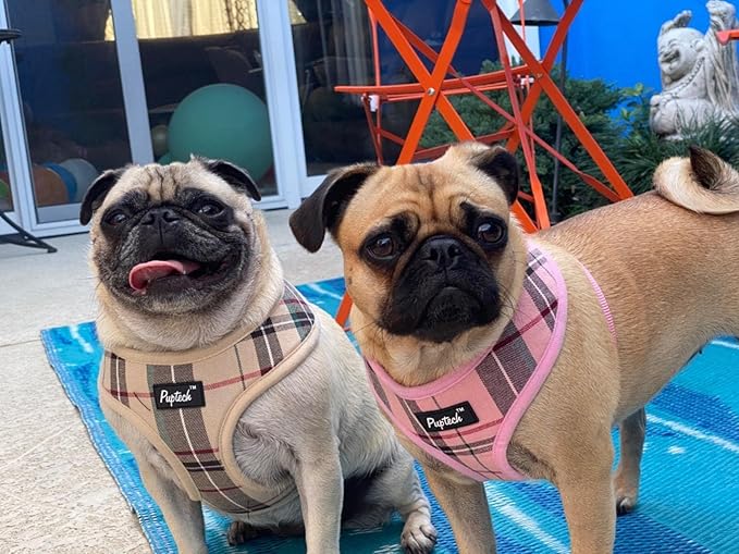 PUPTECK Soft Mesh Dog Harness and Leash Set Pet Puppy Cat Comfort Padded Vest No Pull Harnesses, Light Pink, L