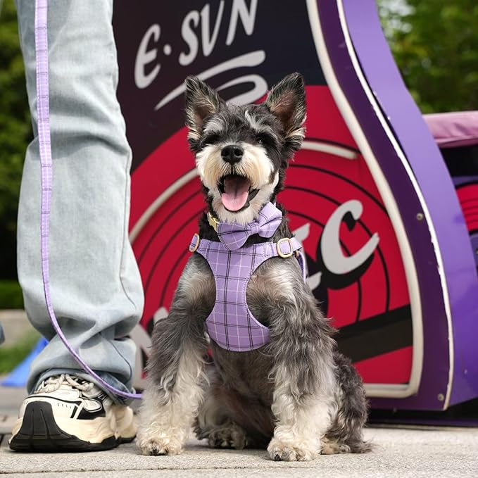 Beirui Cute Small Dog Harness Collar and Leash Set with Bowtie, Soft Adjustable Plaid Puppy Harness for Small Sized Dogs Cats Walks Parties and Photoshoots(Purple,XXS:Chest 12-14")