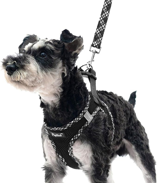 PUPTECK Dog Harness and Leash Set for Small Medium Dogs No Pull Step-in Soft Mesh Puppy Cat Vest Harnesses Reflective at Night, Black XS