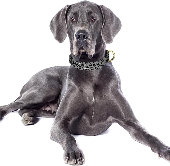 Reflective Dog Collar for Large Dogs, Cute Leopard Style Adjustable Heavy-Duty Nylon Puppy Collar for Boy and Girl Female, Soft Pet Accessories with Quick Release Buckle, Gray