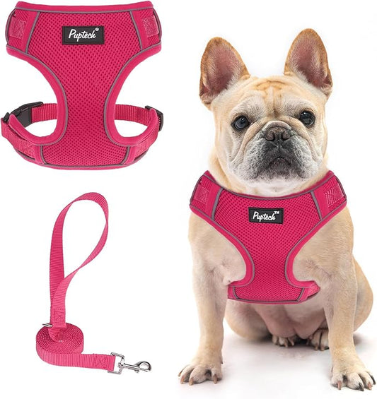 PUPTECK Dog Harness and Leash Set for Small Medium Dogs No Pull, Soft Mesh Adjustable Puppy Cat Harness Reflective at Night, Fuchsia M